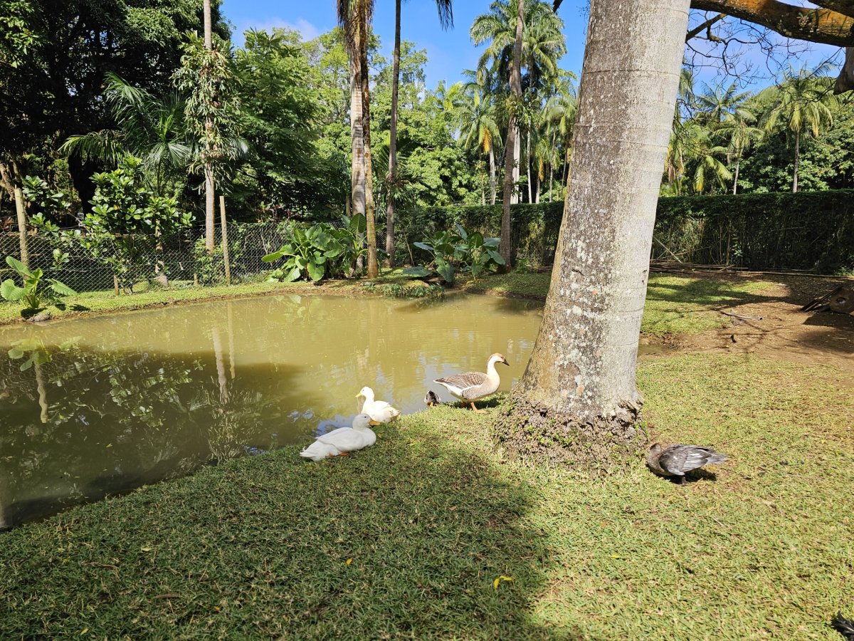 Saint Aubin, minifarma