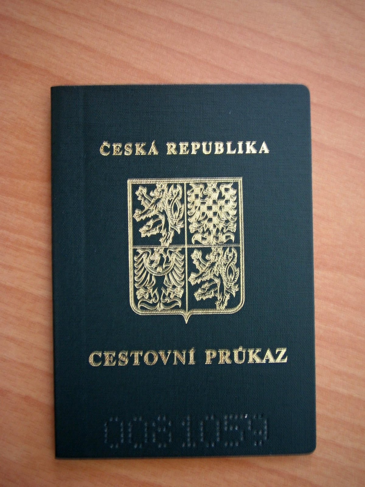 Co když Stratím pas?