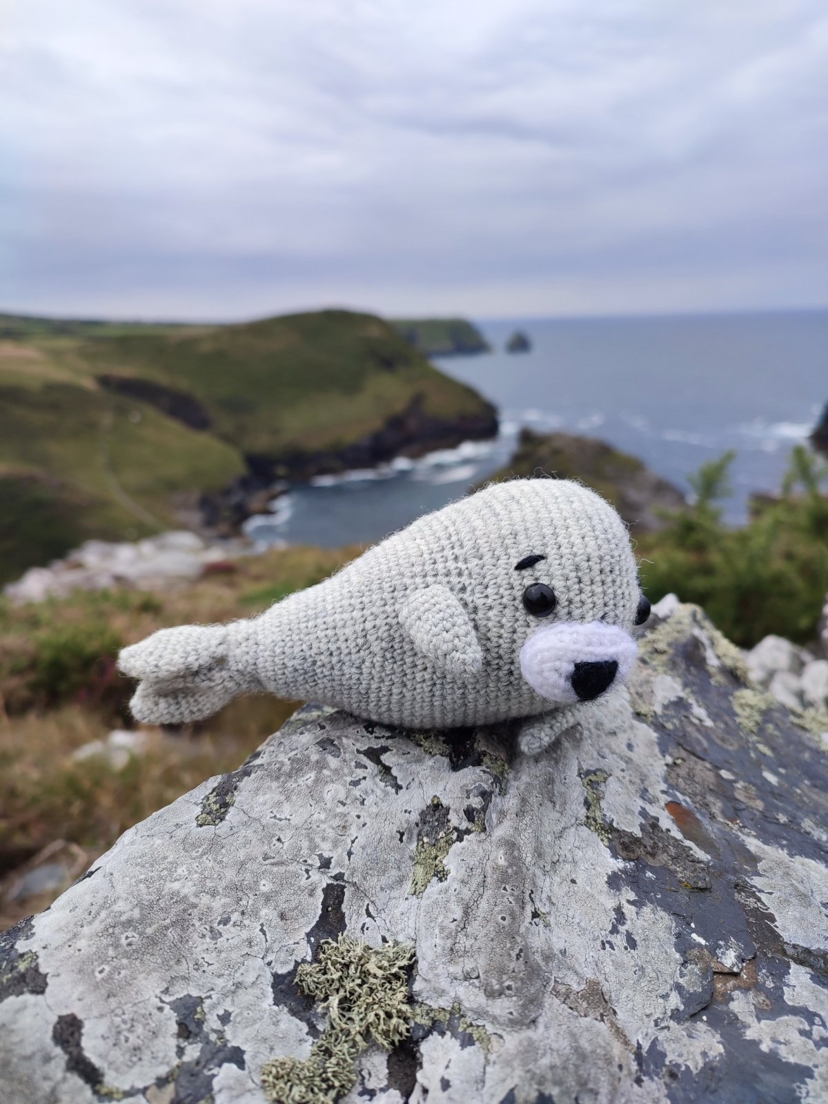 Náš maskot - Čumáček neboli Čumis