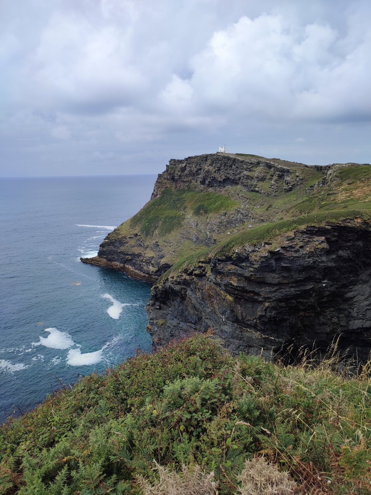 Pozorovatelna trablí