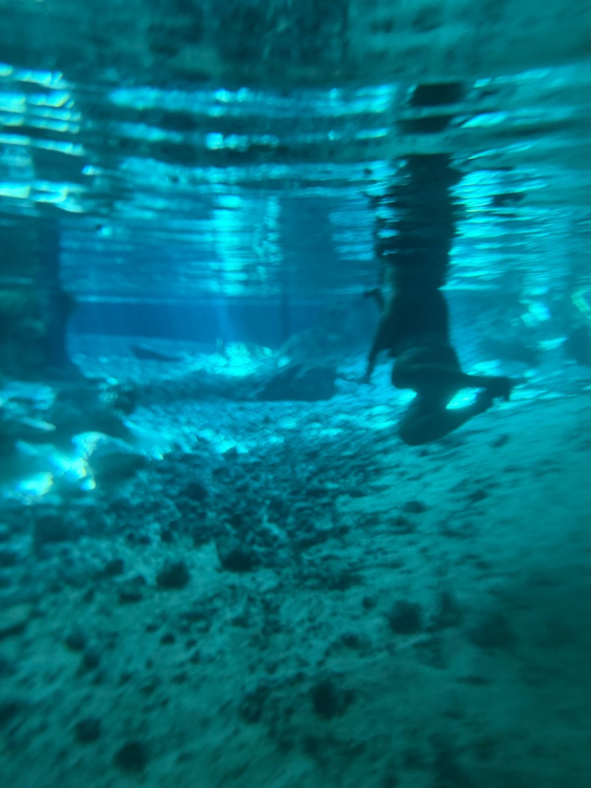 Pohled pod vodu v Gran Cenote