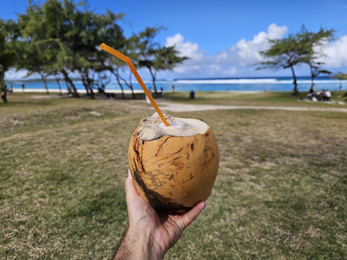 Kokos na pláži