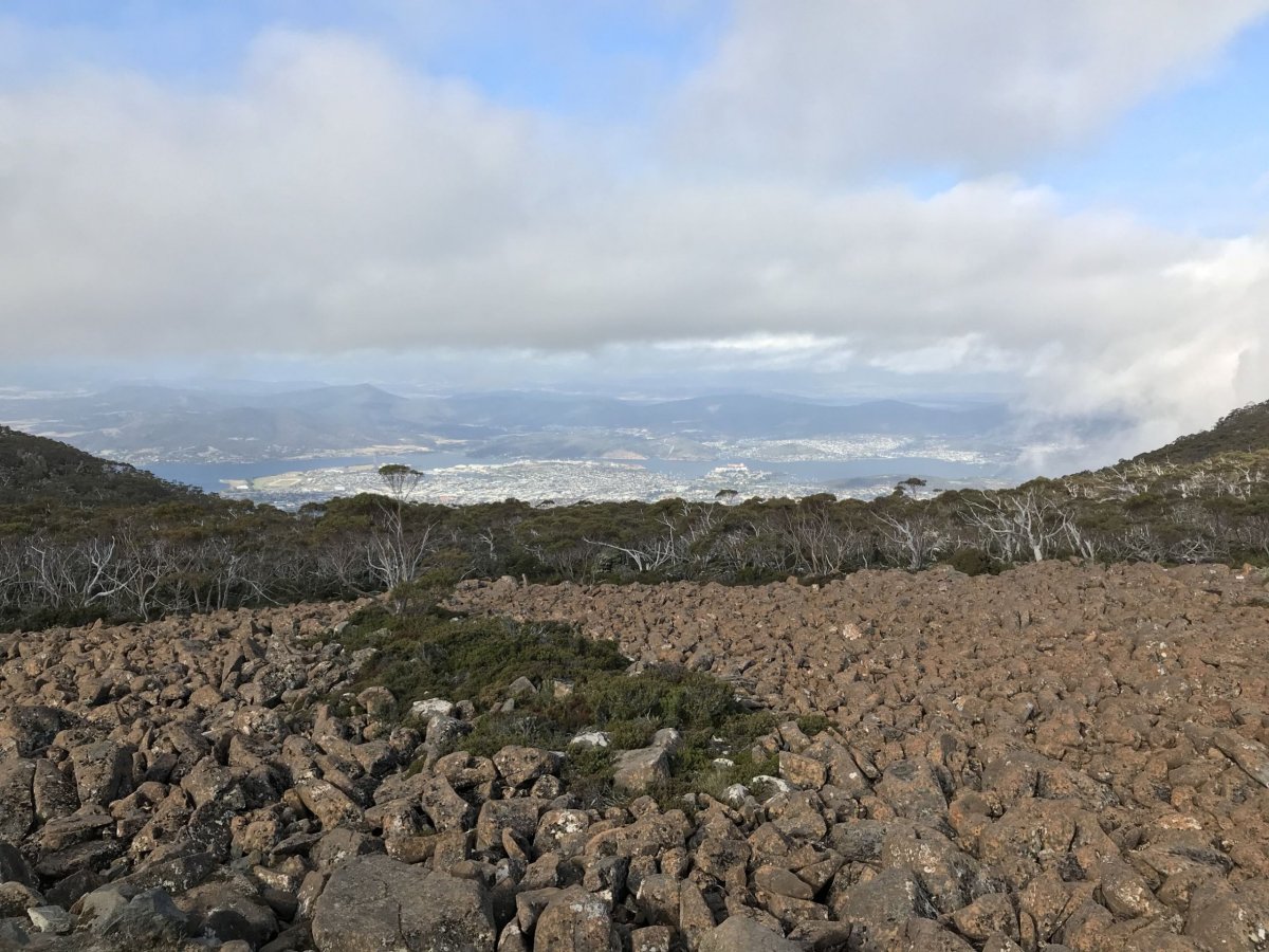 Výhled z Mt. Wellington