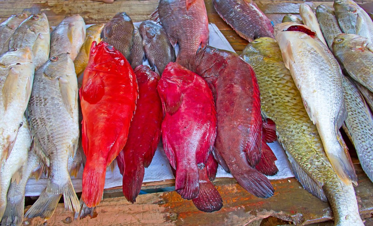 Rybí trh Maputo