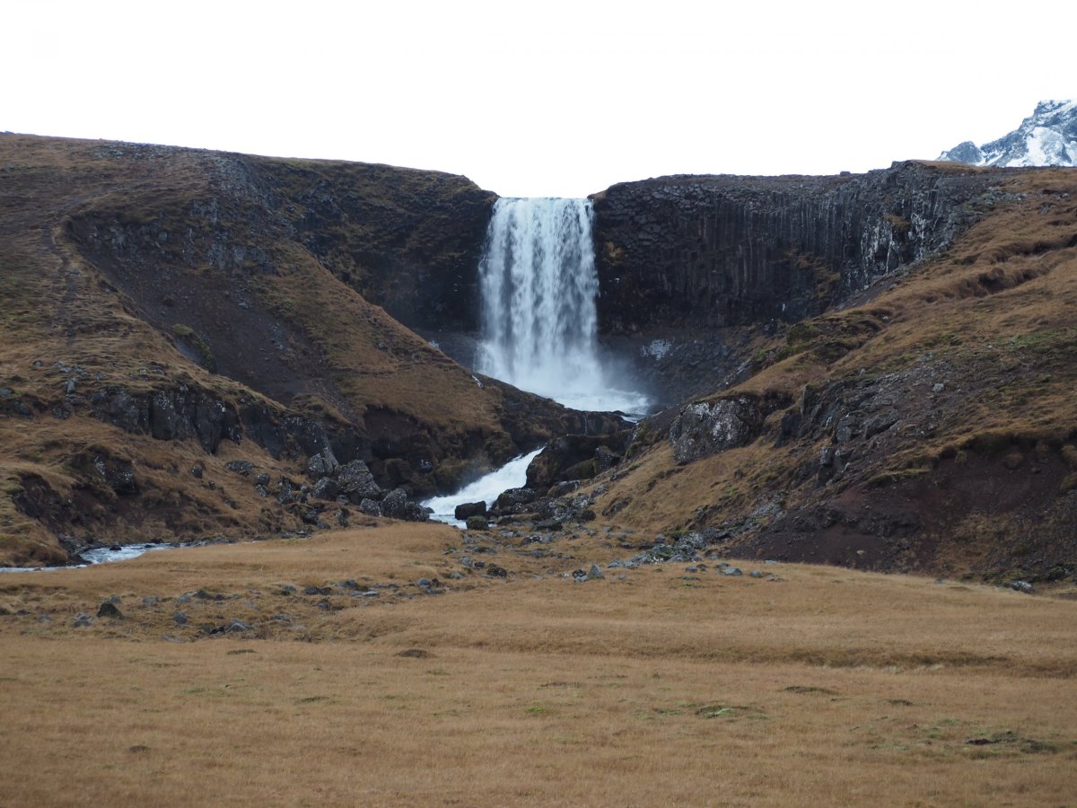 Skografoss