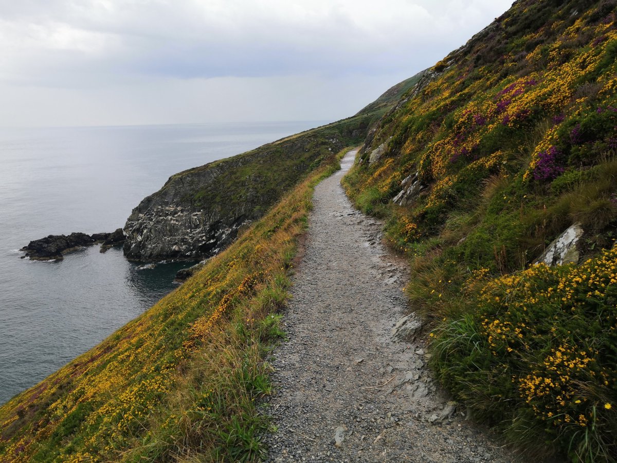 Cesta kolem poloostrova