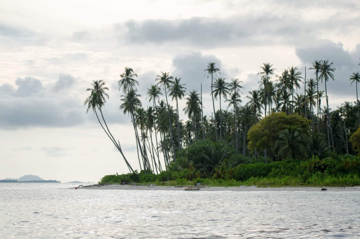 Klasický pohled na pláž s kokosovými palmami