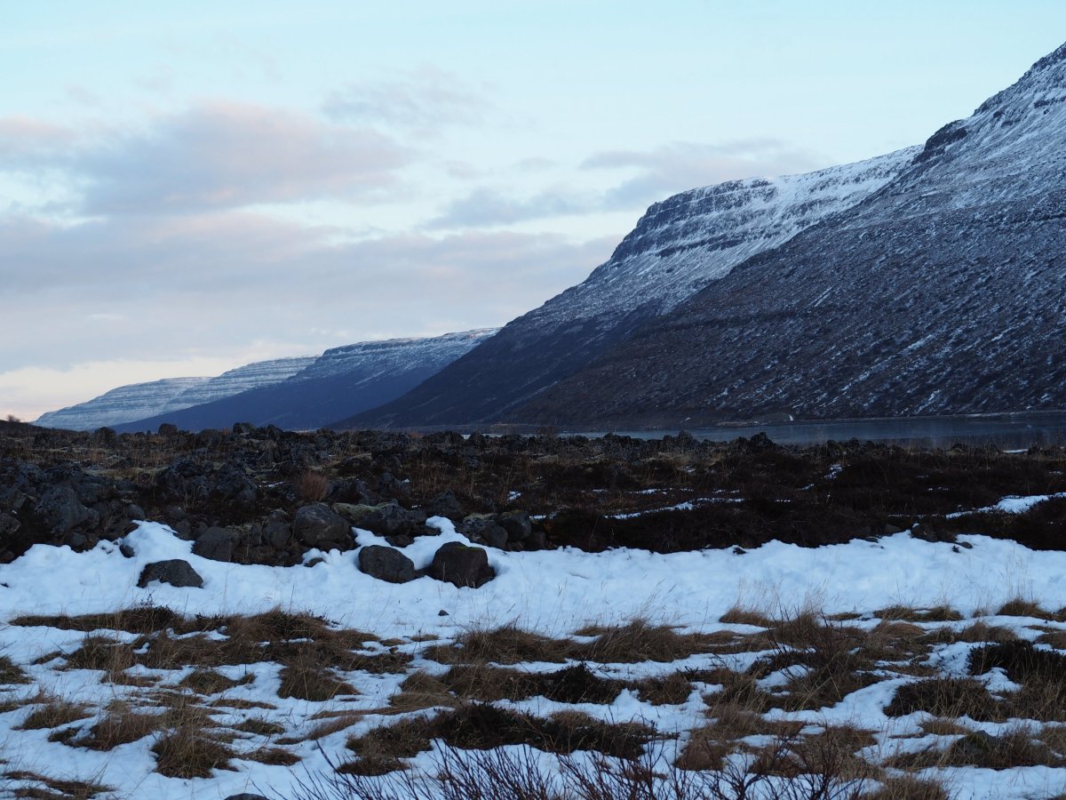 Někde mezi Westfjordy