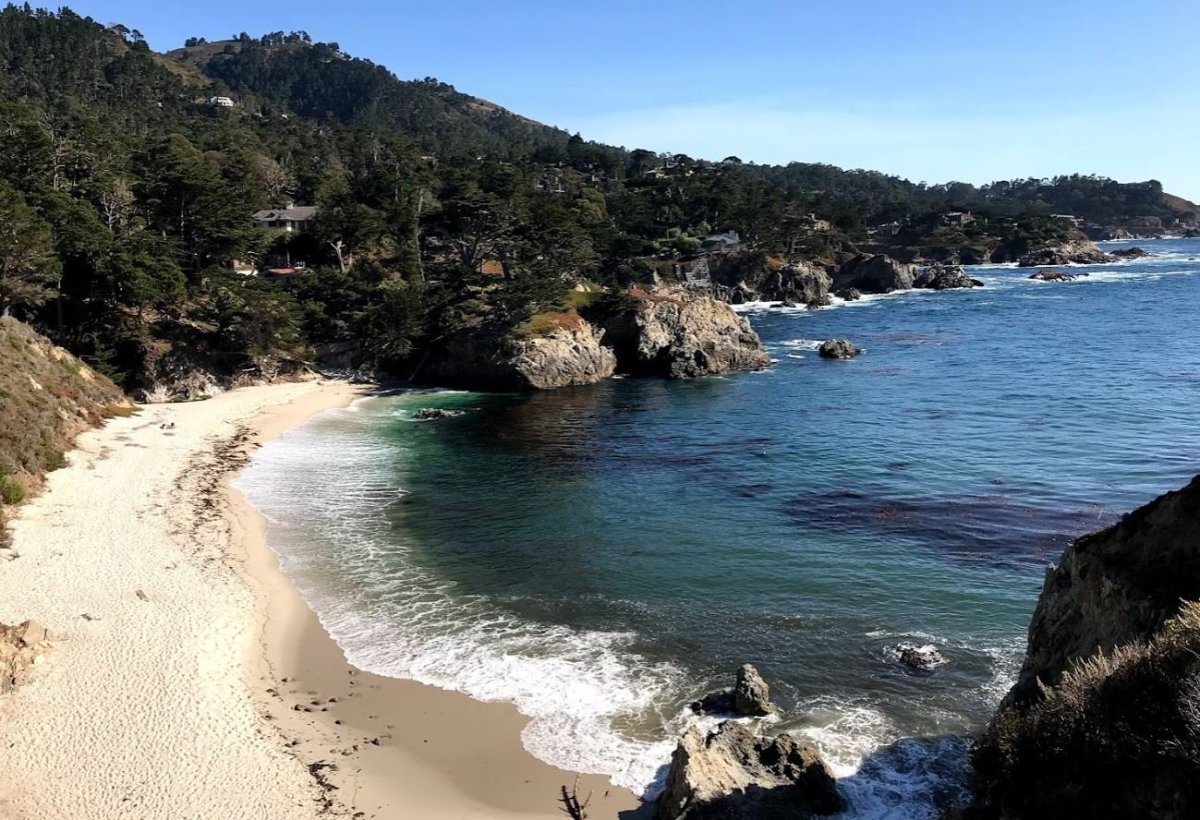 Point Lobos NP