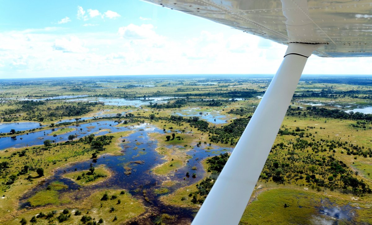 Okavango z letadla