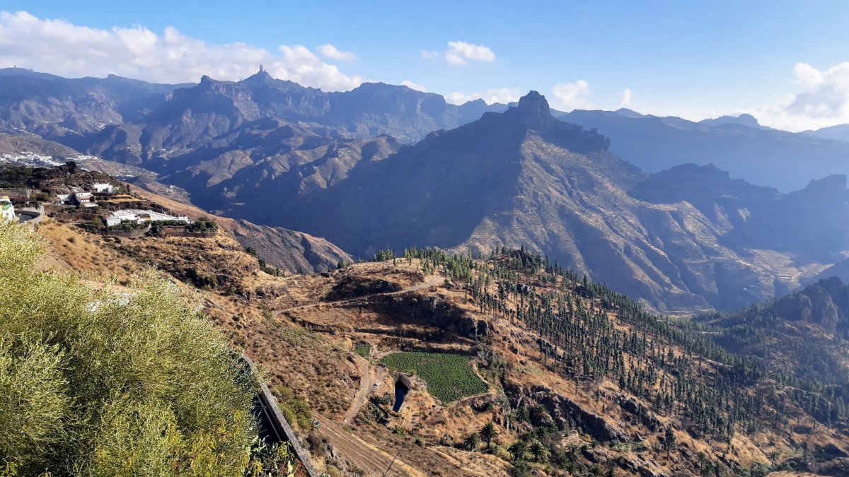 A opět ... Roque a Roque