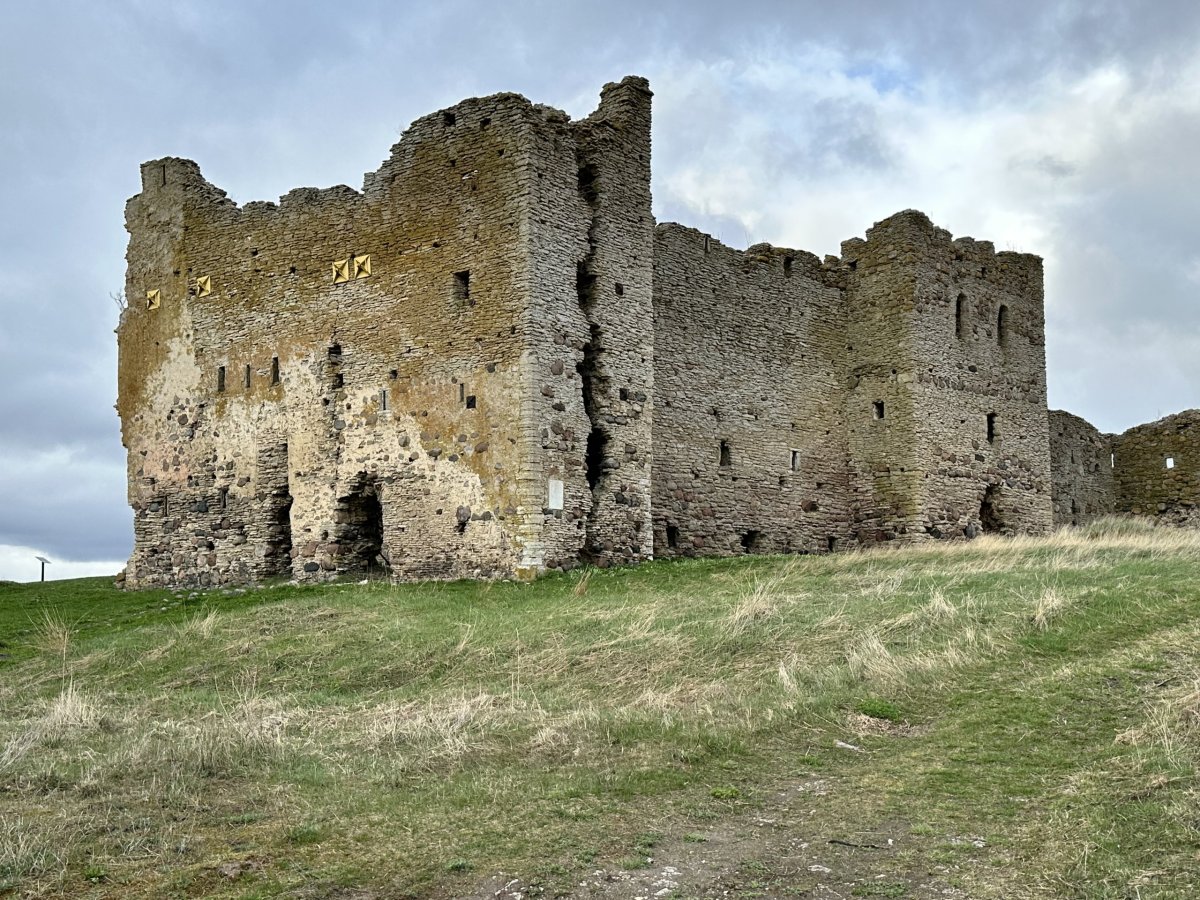 Hrad Tolsburg (Toolse)