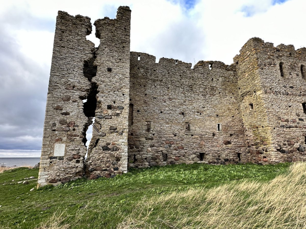 Hrad Tolsburg (Toolse)