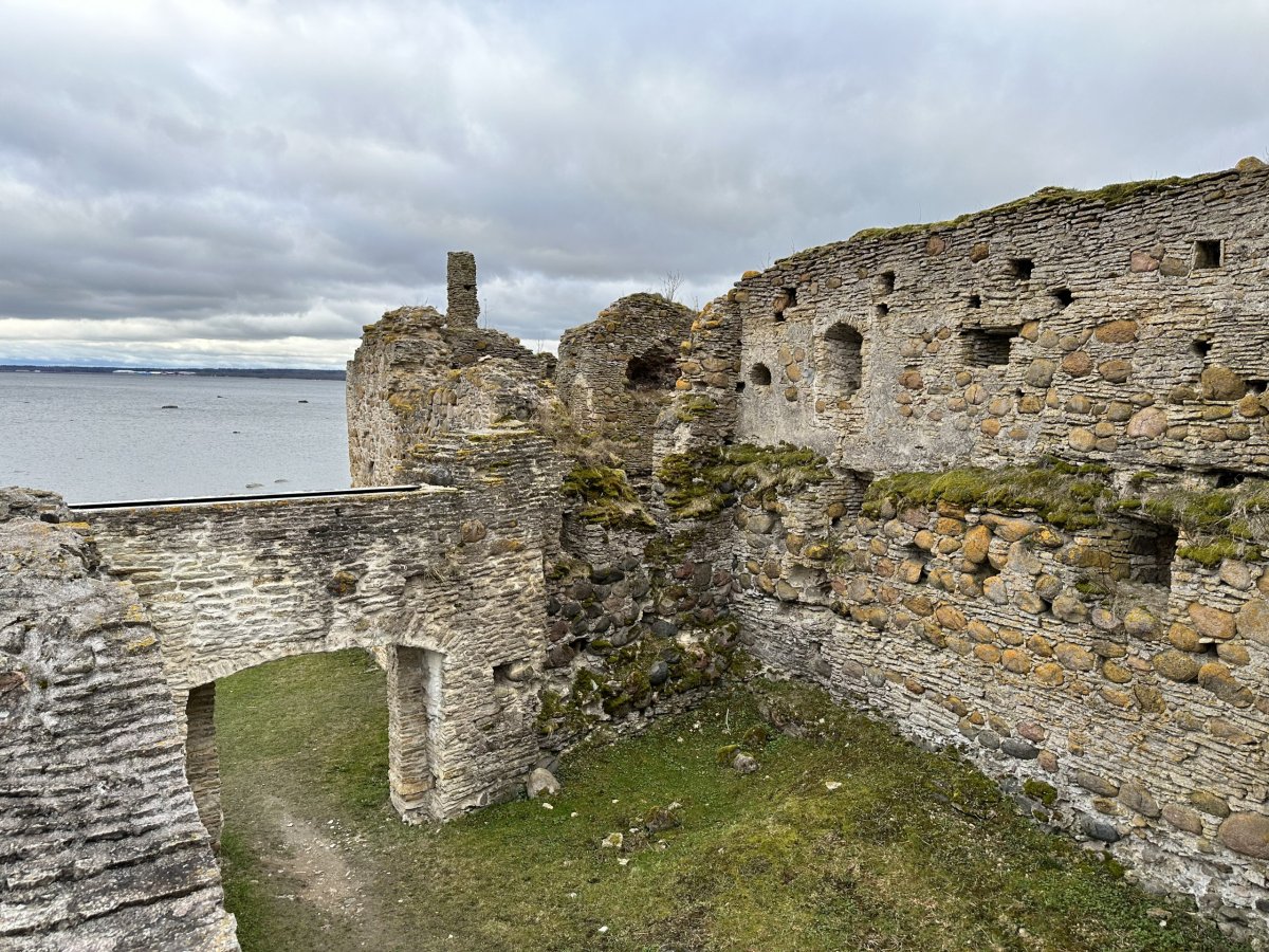 Hrad Tolsburg (Toolse)