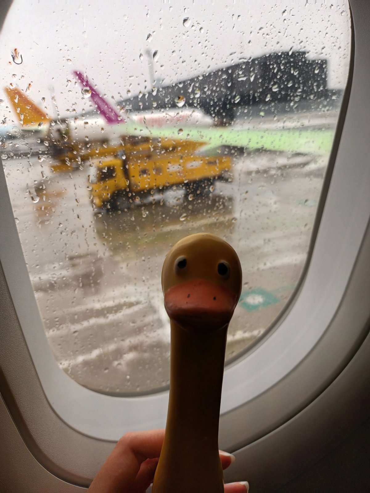 Odmrazit křídla a letíme!