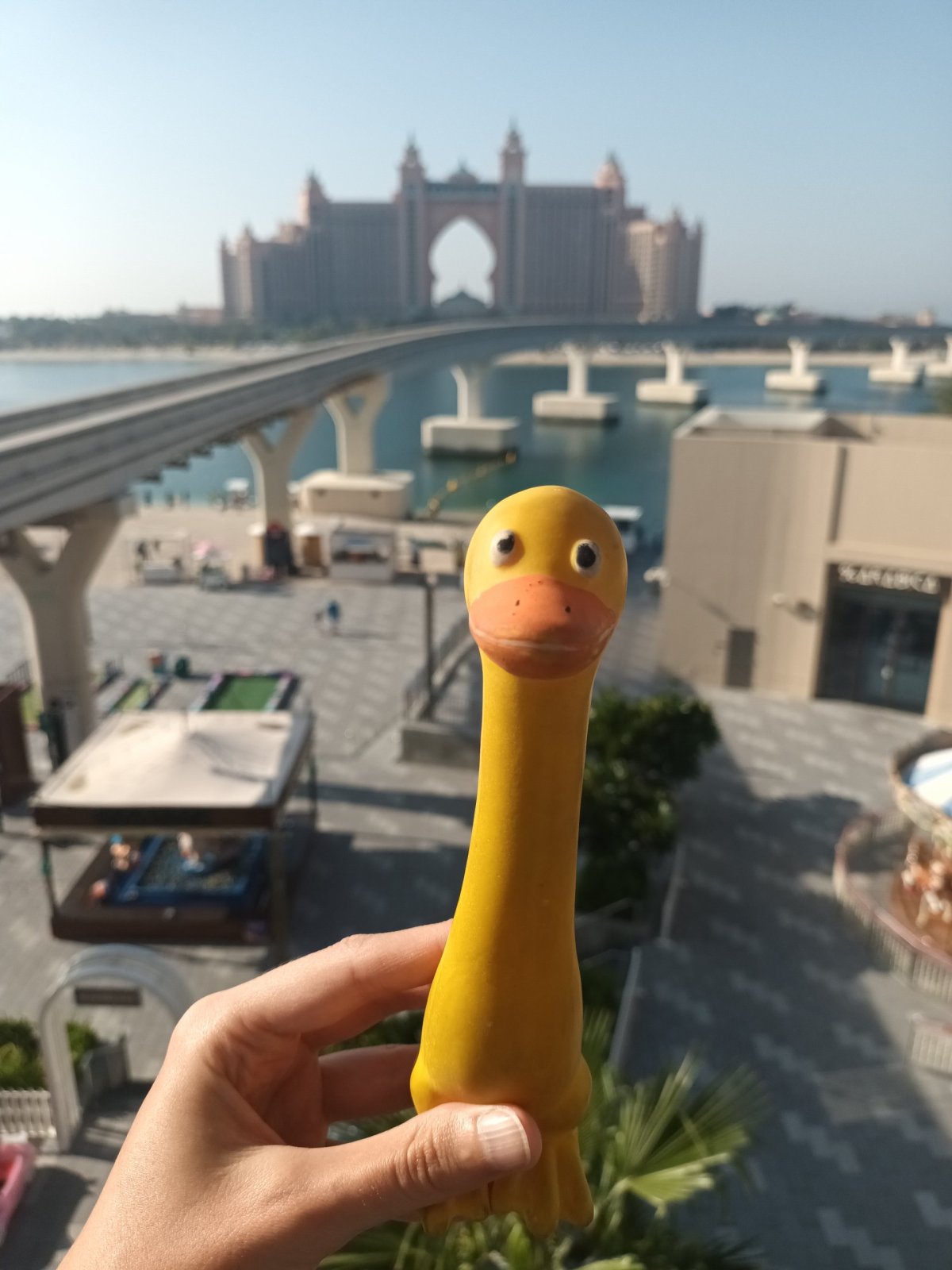 Krásné výhledy jsou z The Pointe