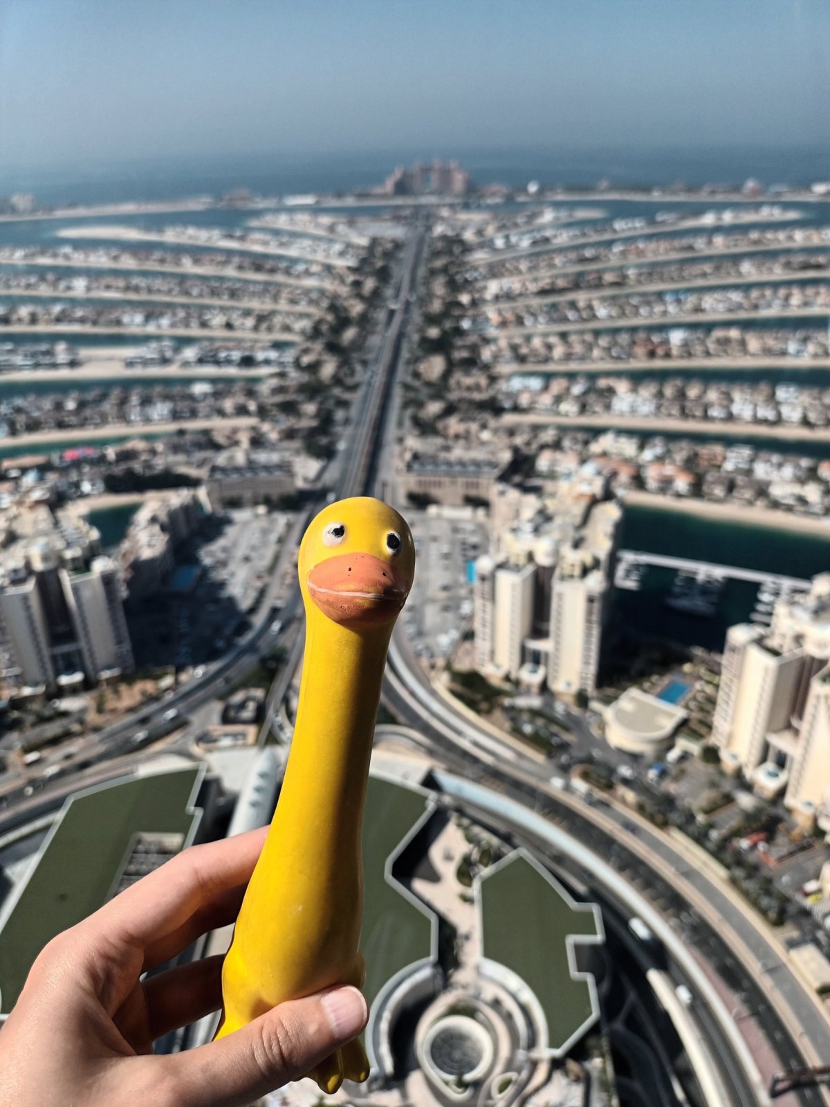 Palmový ostrov Palm Jumeirah