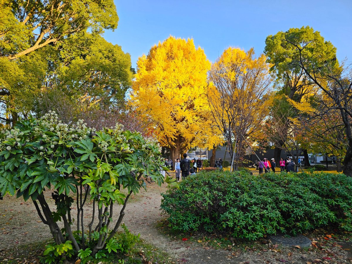 Ueno Park