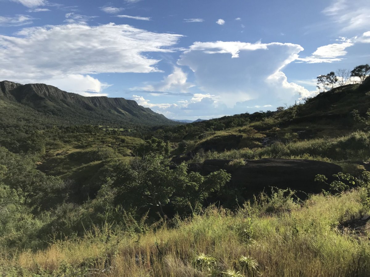 Chapada dos Veadeiros