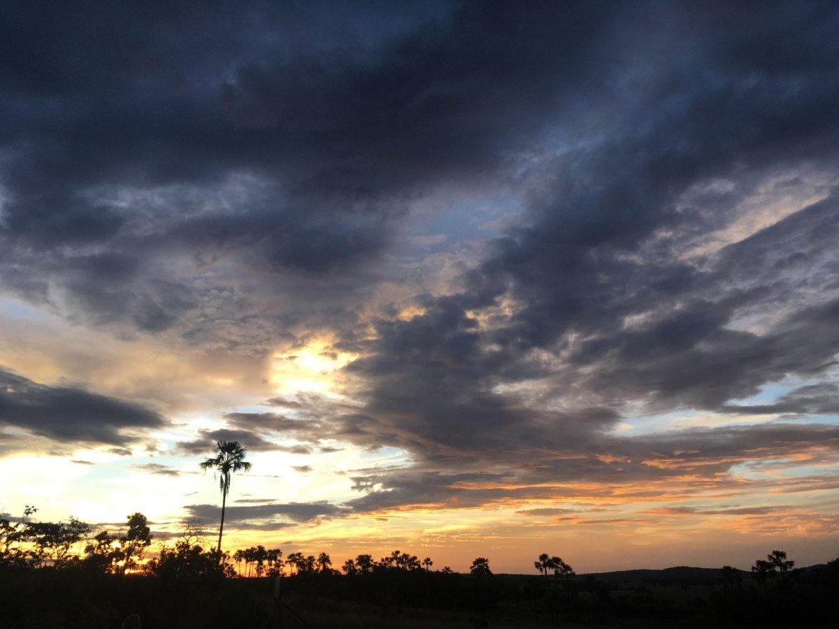 Chapada dos Veadeiros