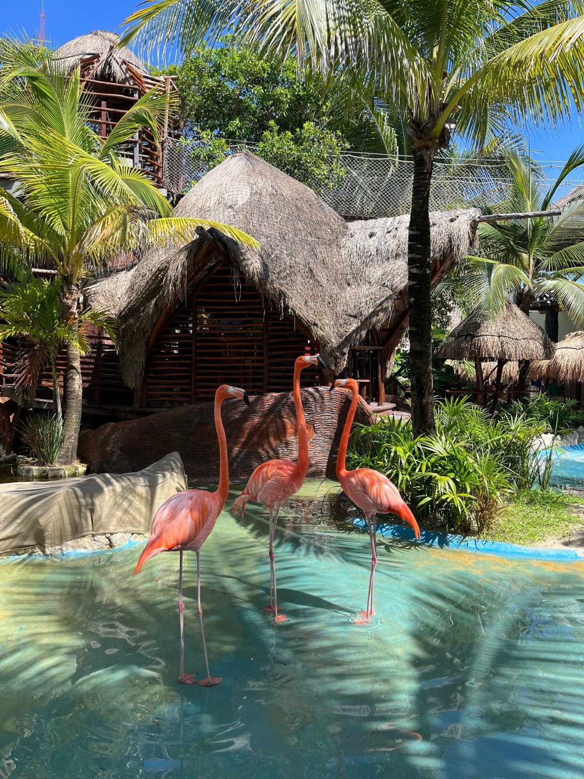 Xcaret