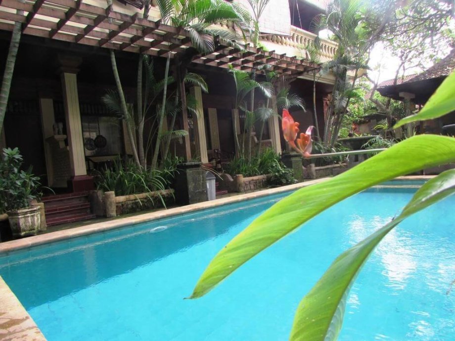 Sanur - Griya Ayu Inn
