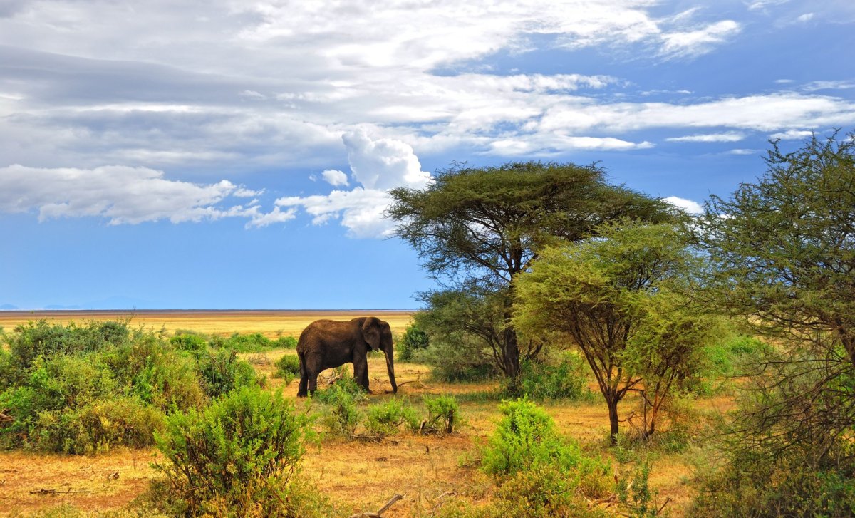 Lake Manyara