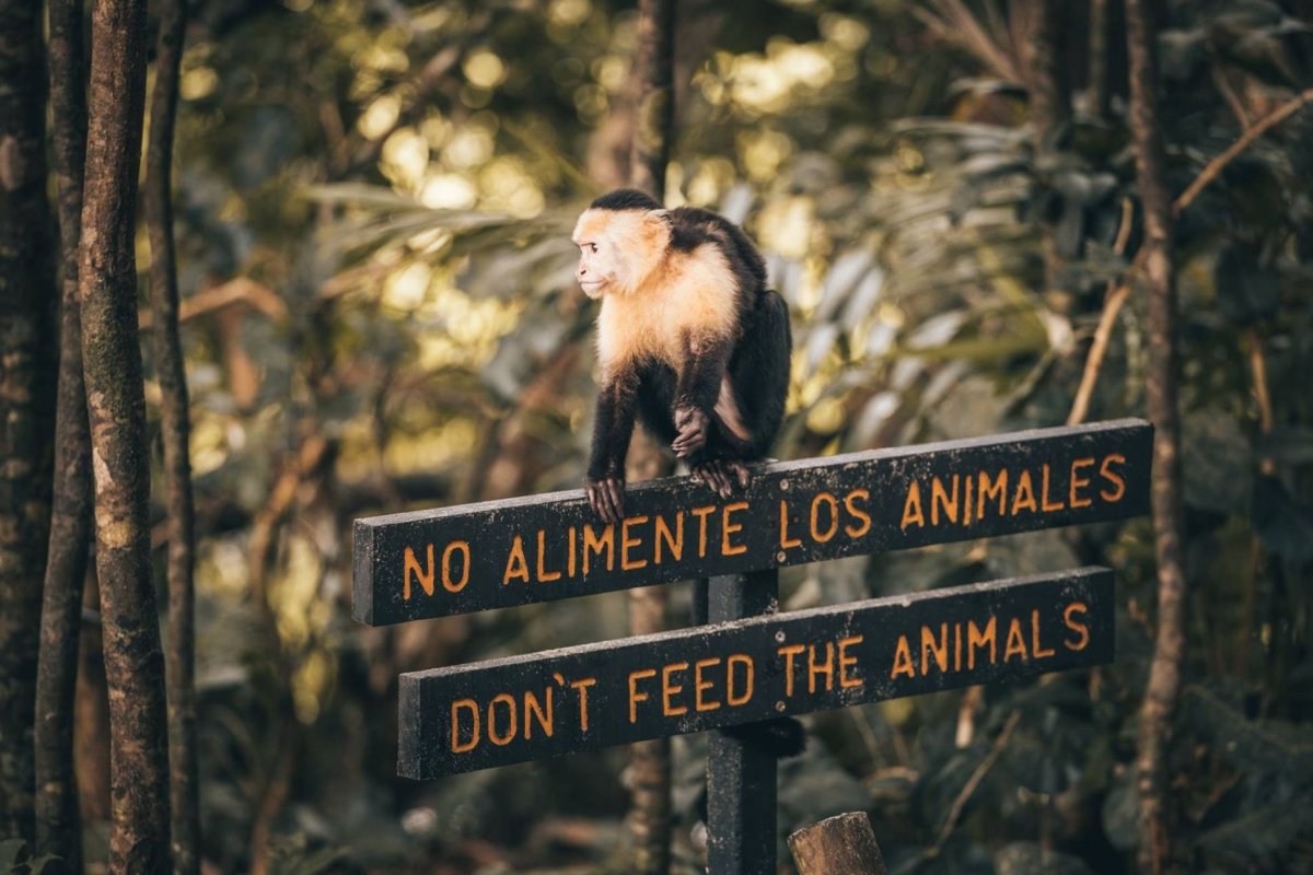 Hlavička uživatele