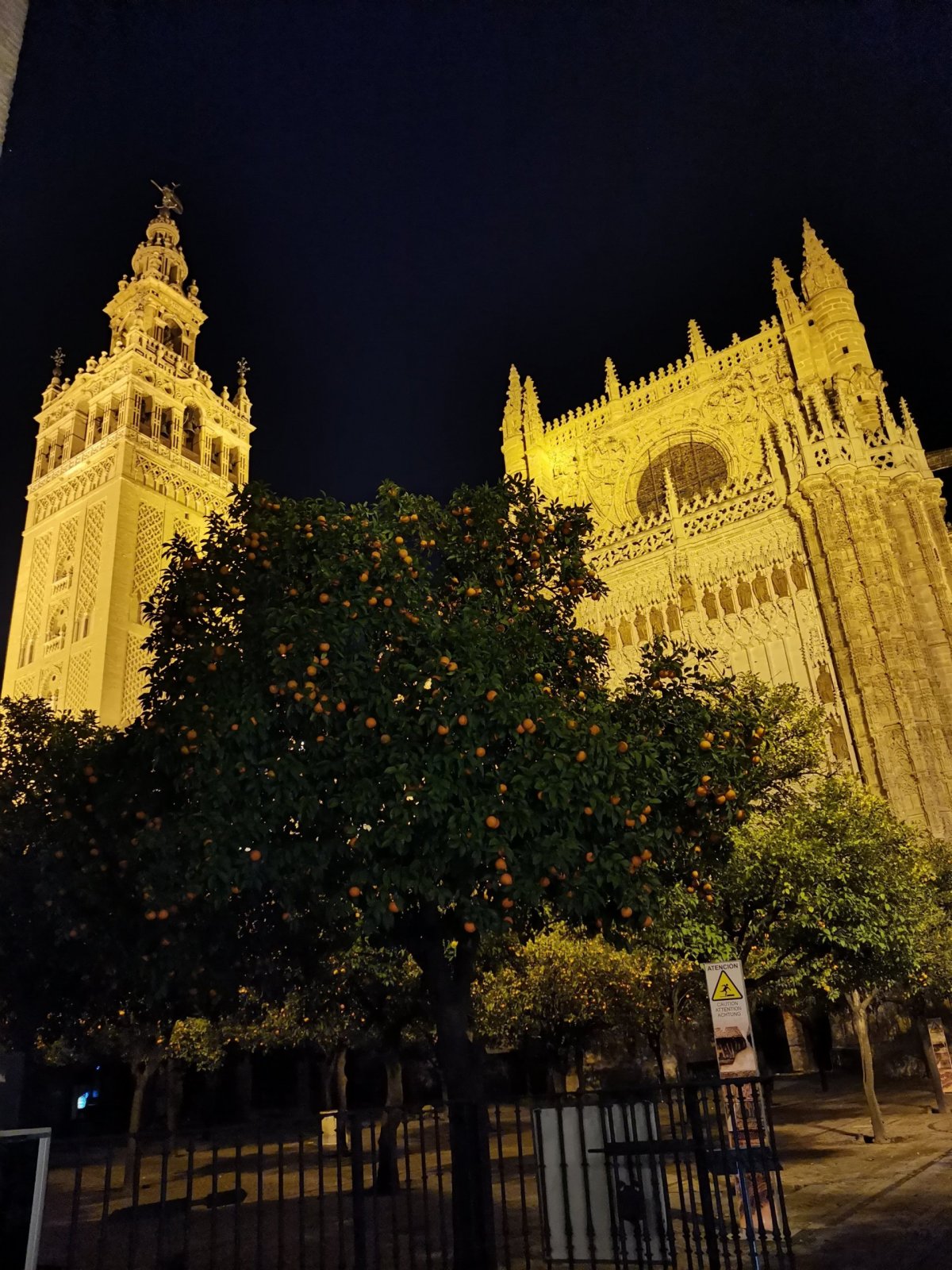 Svoje kouzlo má katedrála i v noci