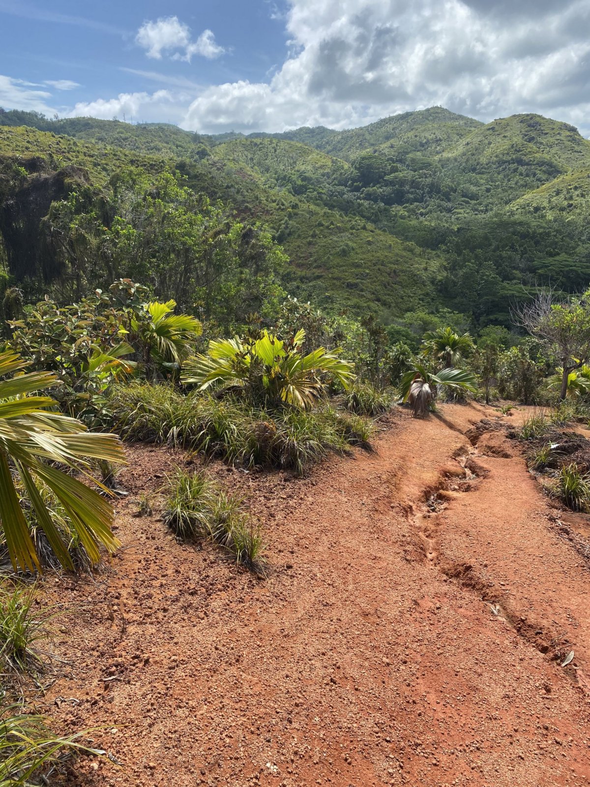 Track na Anse Georgette