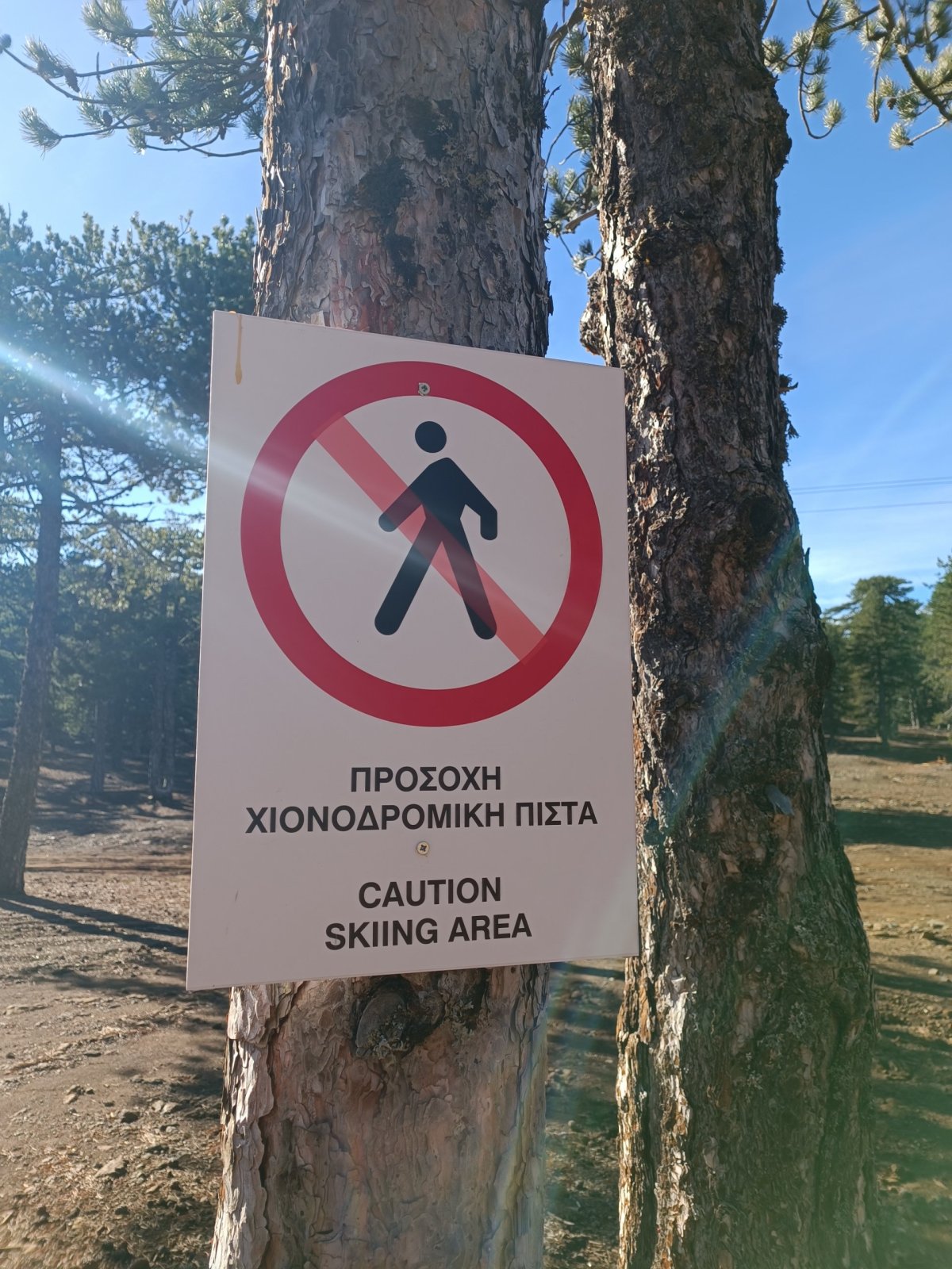 Na lyže to nevypadalo.. 