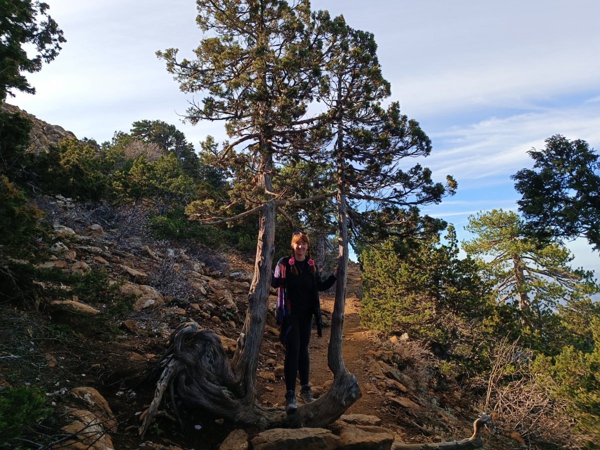 Cestou fotogenické stromky