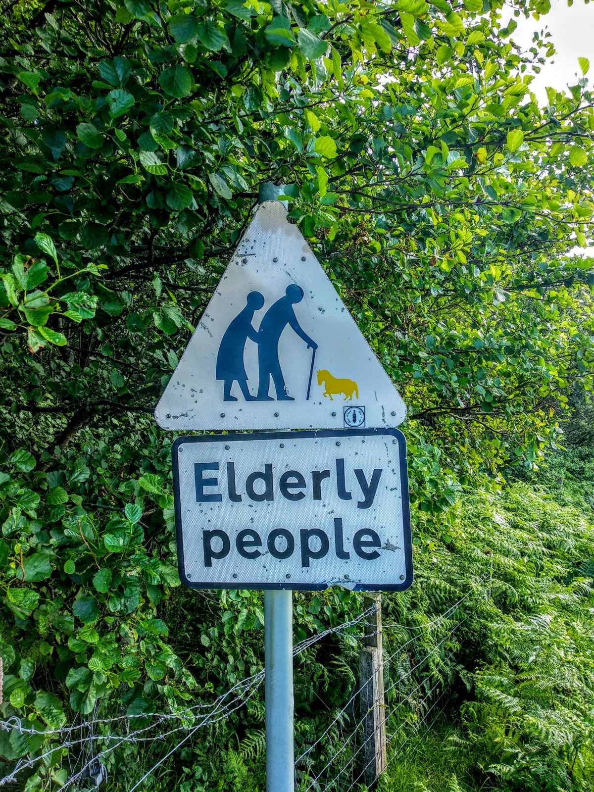 Pěkná cedule. Pro nás spíše kuriozita znázorňující ať dáváme pozor na starší občany