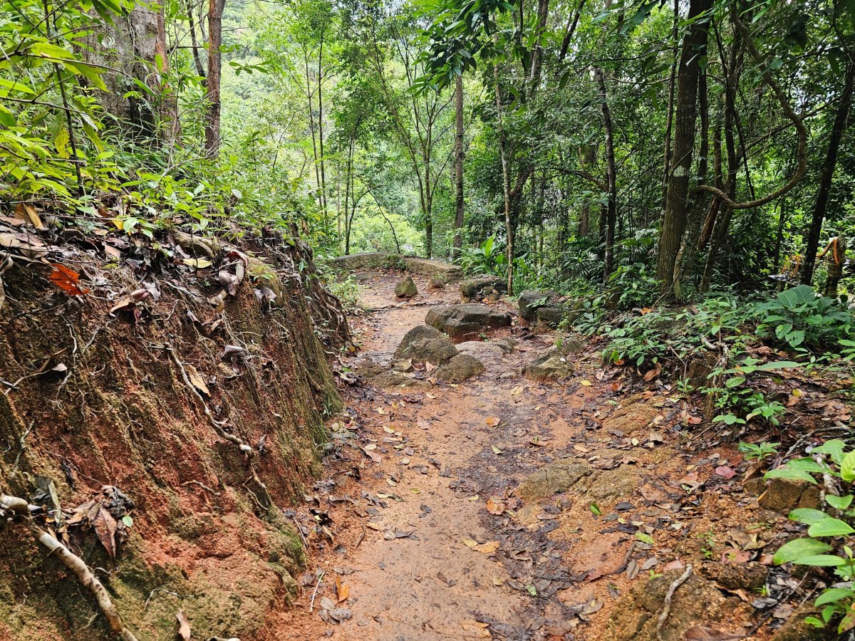 Cesta k vodopádu Namuang 2