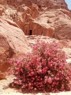 staveb v pískovcových skalách je mnoho