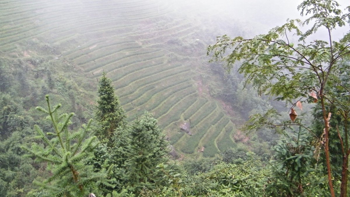 rýžové terasy Longji Four Treasures