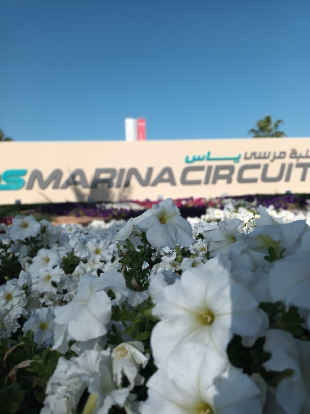 Okruh Yas Marina
