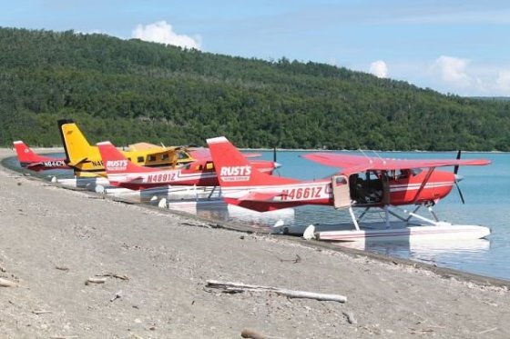 Premávka počas dňa pri Brooks Campe