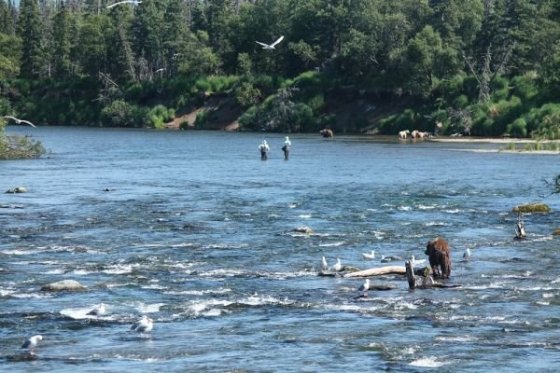 Rybári to tu tiež nemajú vždy ľahké.