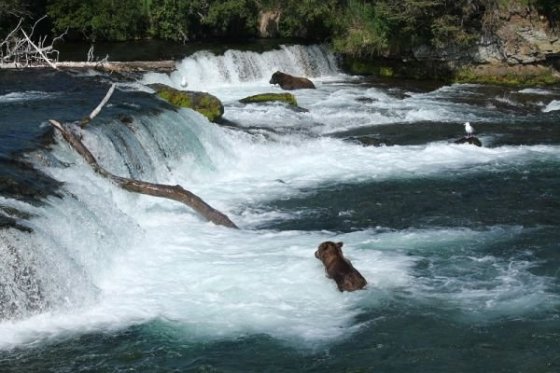 Niekedy stačí len čakať a ryby prídu samé,...