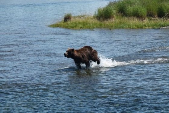 ...inokedy treba korisť ponaháňať.