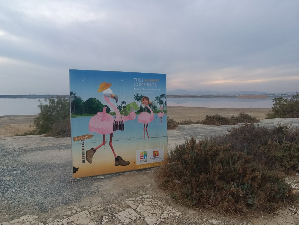 No, alespoň nějaký plameňák tam nakonec byl.