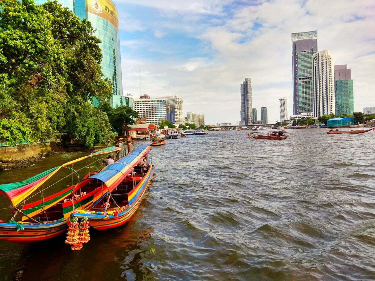 Hlavička uživatele