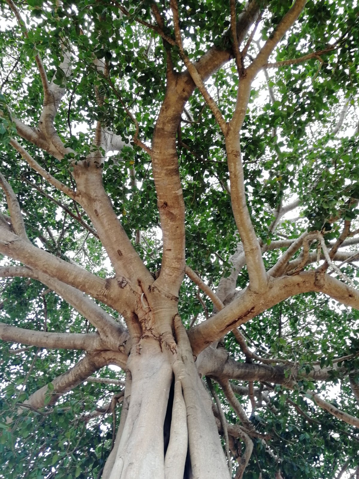 Hlavička uživatele