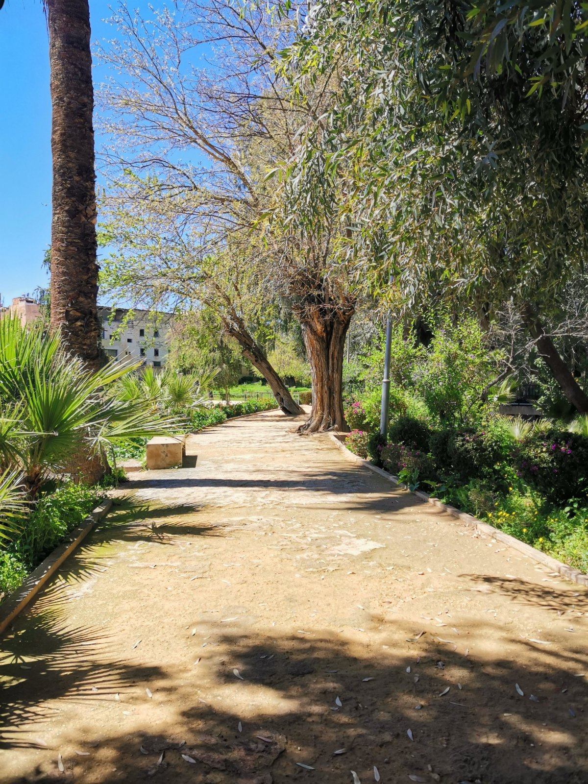 A mají tu i krásné parky