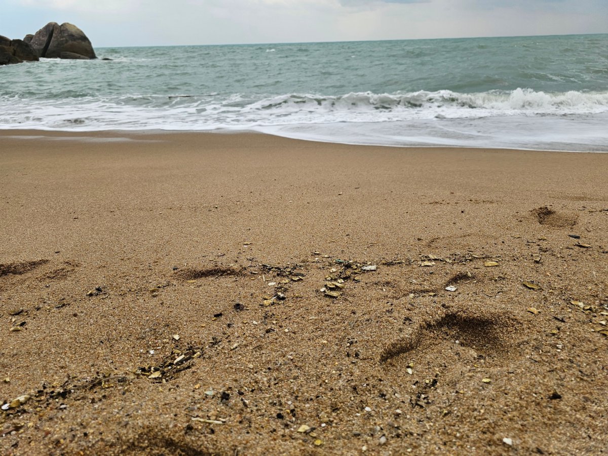 Coral Cove Beach, kvalita písku