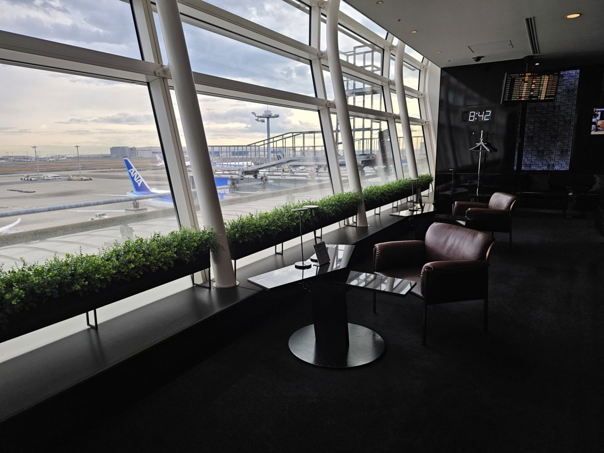 Výhled na letištní plochu