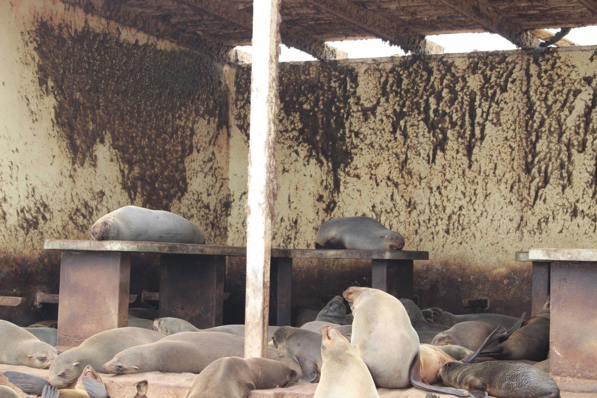 Ten zápach se nedá popsat