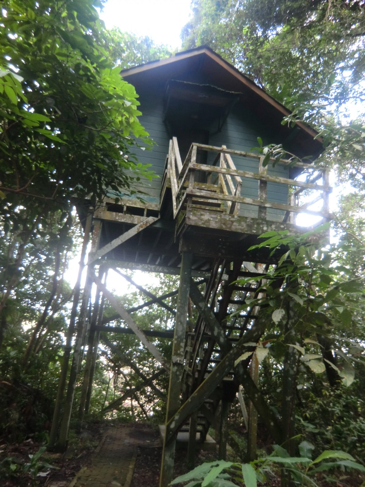 Resort v korunách stromů