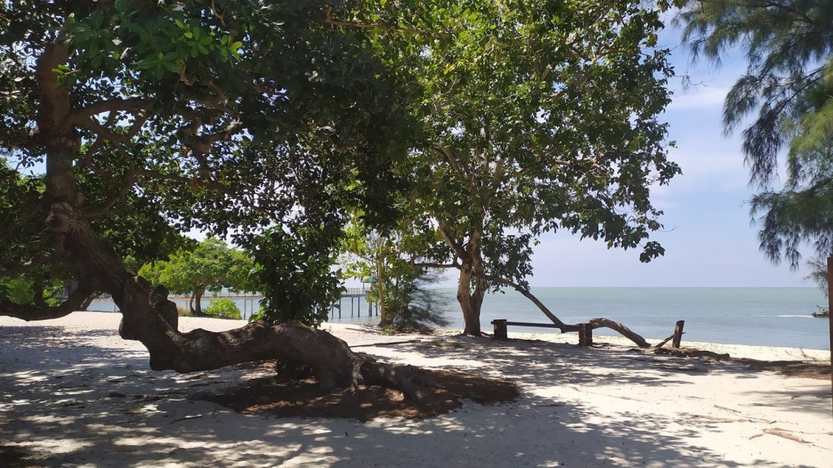 Pantai Kerachut, na které se nachází želví farma
